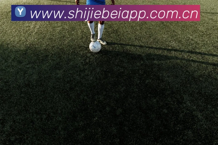 App Interface Preview