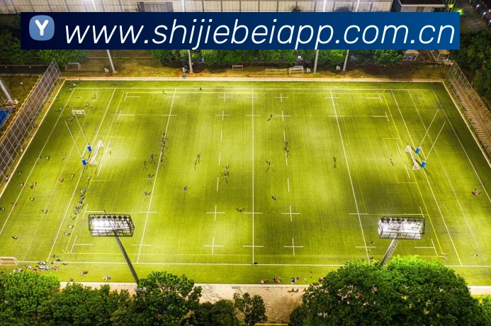 世界杯AppAPP 封面图